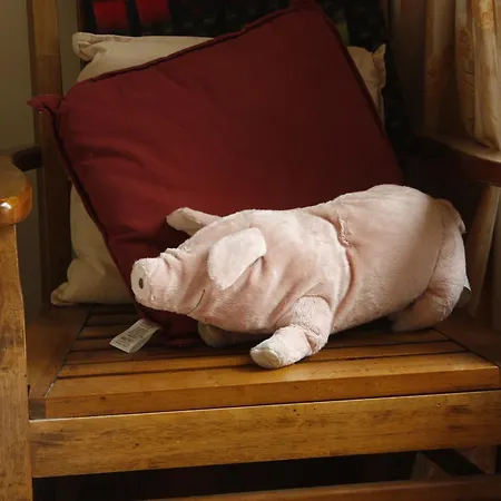 Farm stay Oldfarm Nenagh